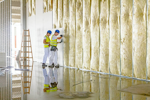 Types of Insulation We Offer in IL